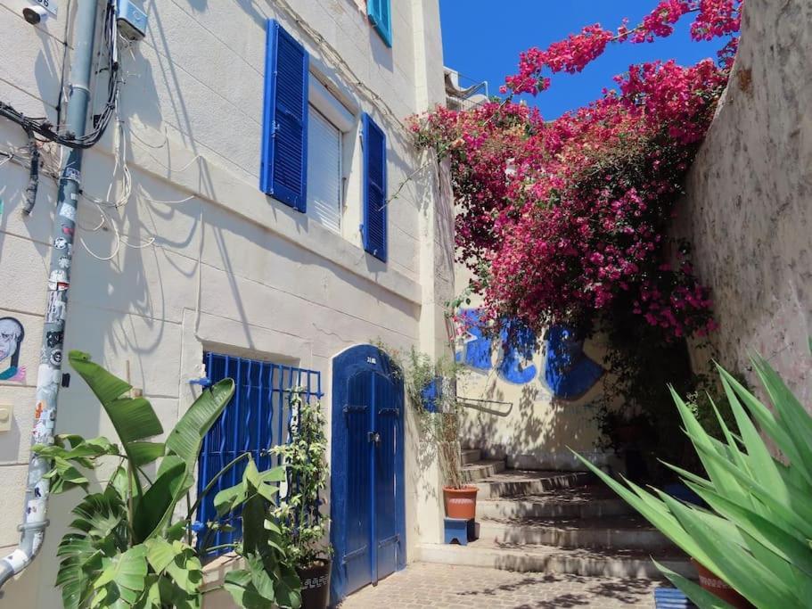 Ancien Salomon Xvie Siecle Marseille